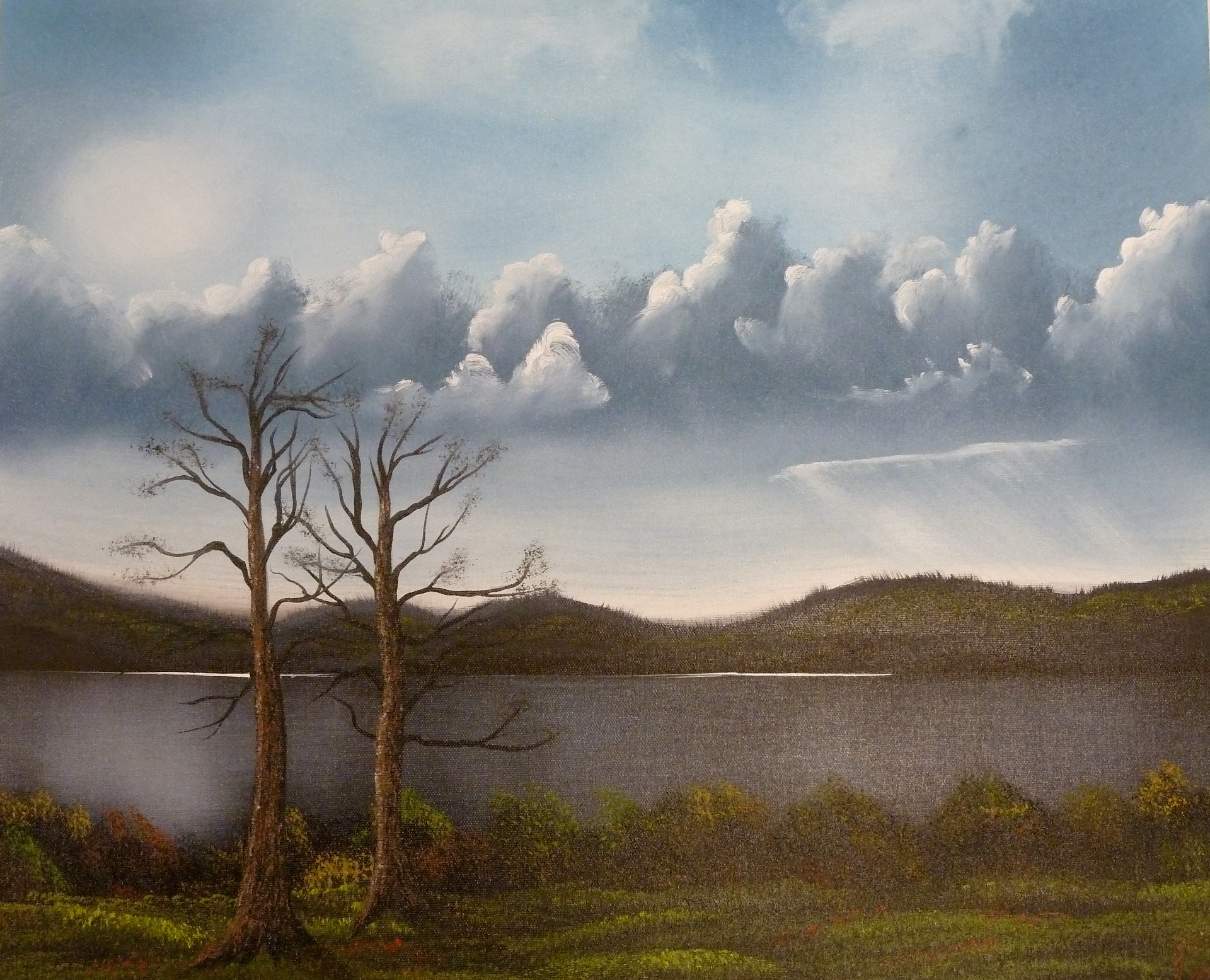 Zwei kahle Bäume am Ufer eines stillen Sees unter einem Wolkenhimmel.
