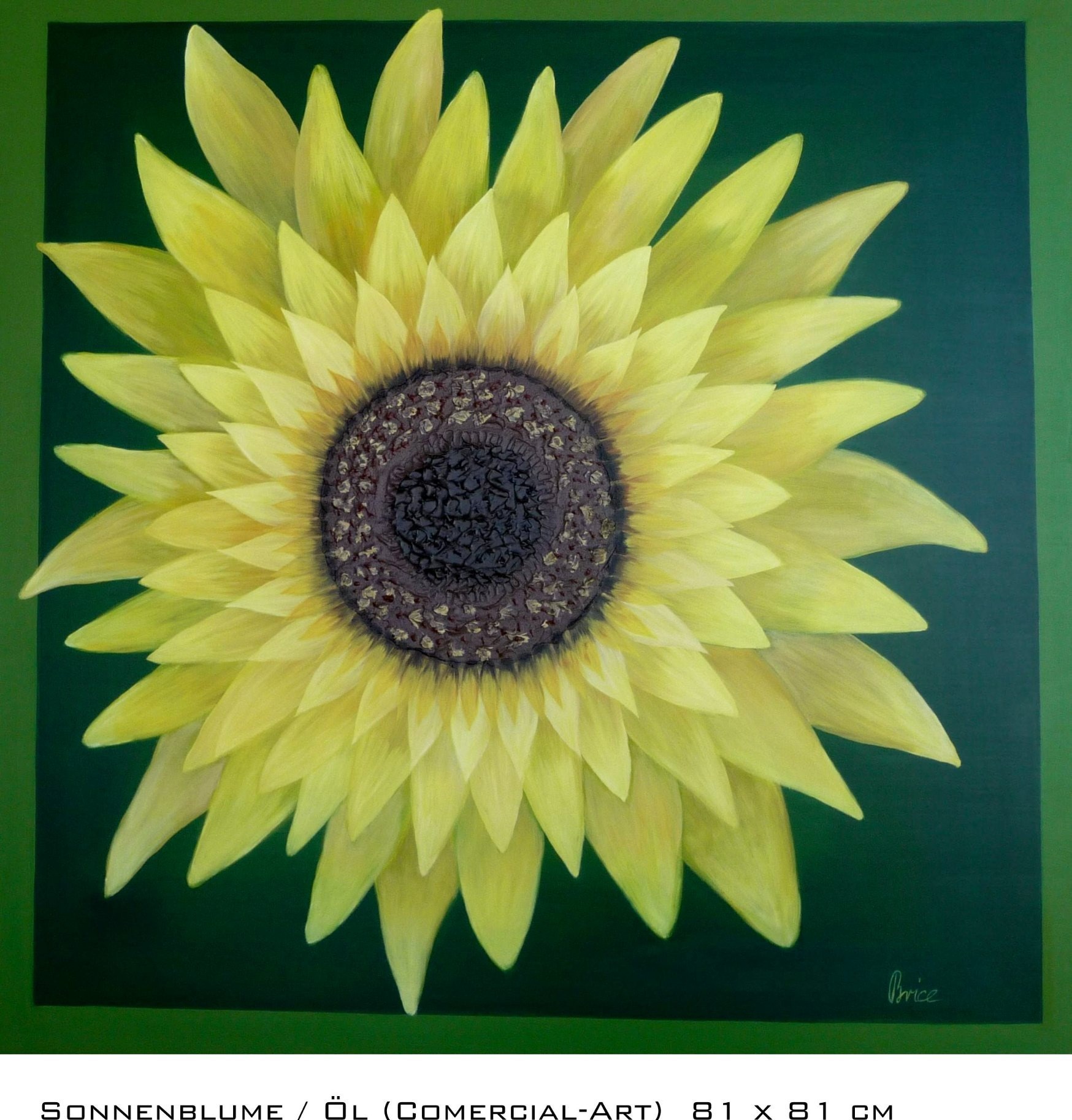 Großformatige gelbe Sonnenblume mit strahlenförmigen Blütenblättern vor grünem Hintergrund.