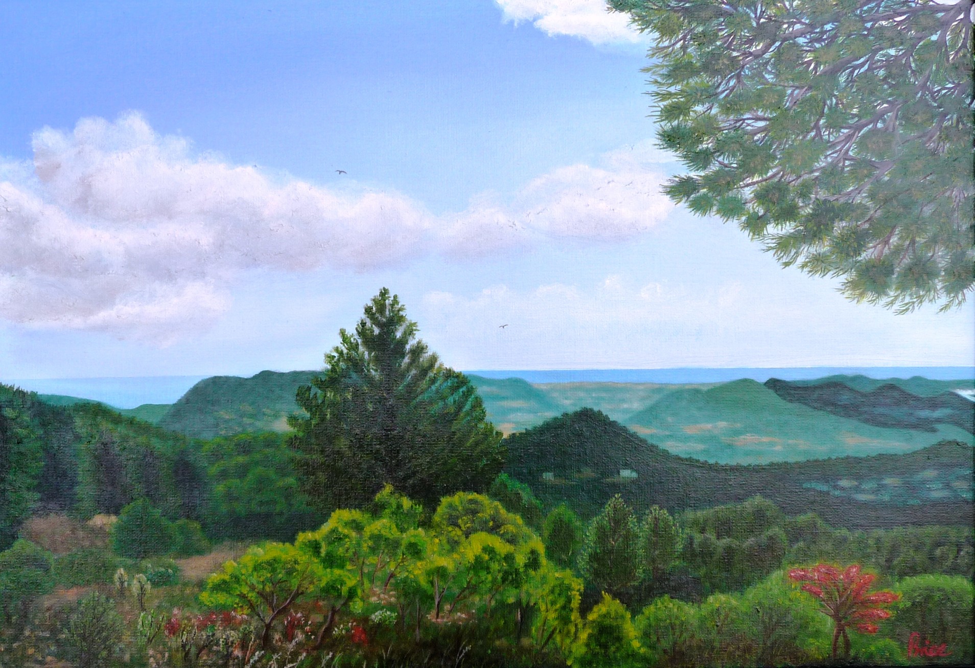 Weiter Blick über bewaldete Hügel und Berge bis zum fernen Meer unter blauem Himmel.